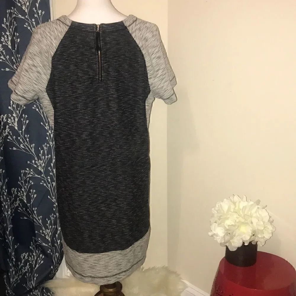 Lou & Grey Color-block Shift Dress - Picture 3 of 7